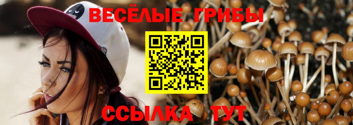Галлюциногенные грибы Psilocybe Лосино-Петровский